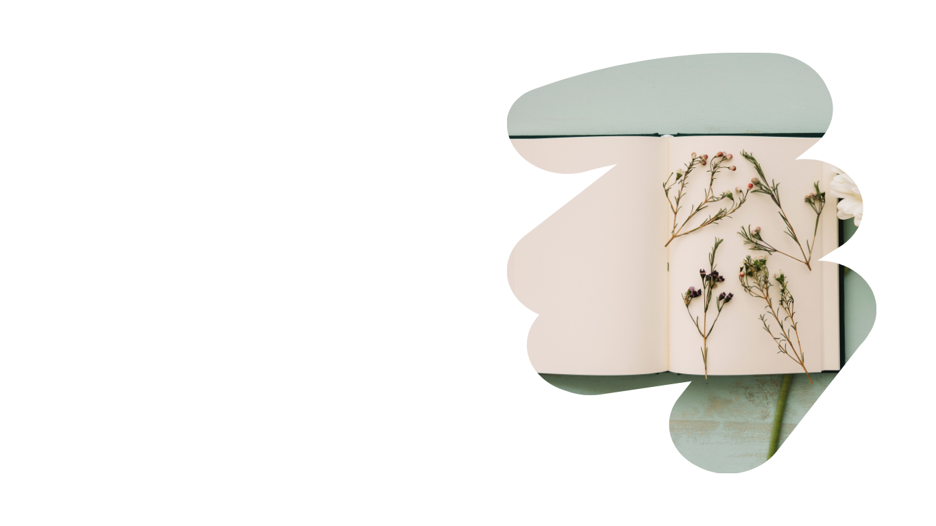 押し花のノート